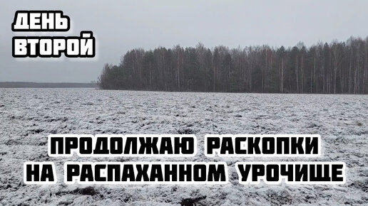 Продолжаю раскопки с TX 850 на распаханном урочище. День второй