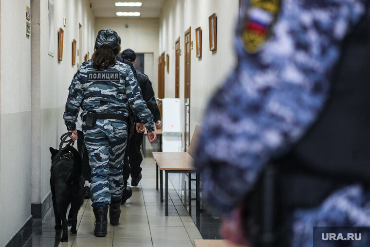    Житель Лабытнанги получил два года за нападение на участкового (архивное фото)