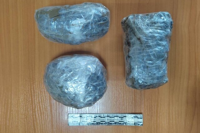    Фото: пресс-служба УМВД России по Оренбургской области