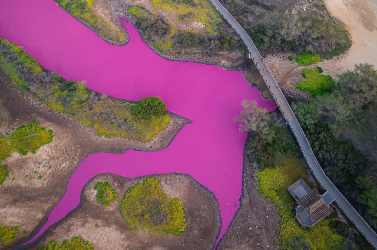    Озеро на Гавайях внезапно окрасилось в ярко-розовый цвет