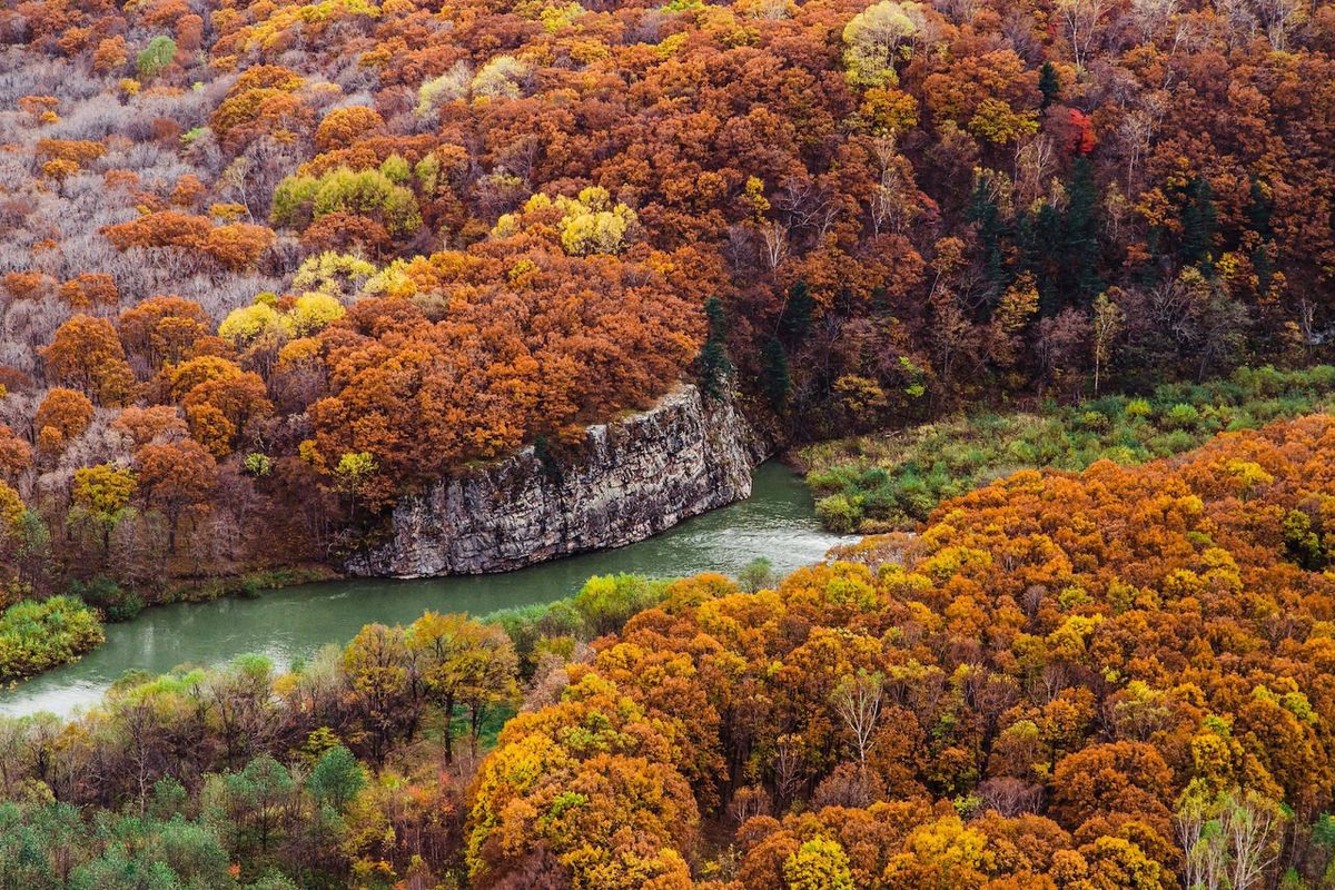 источник pibig.info