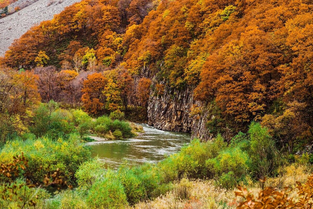 Краснодарский край осенью. Ущелье Дарданеллы осень. Ущелье Дарданеллы Приморский край осень. Ущелье Дарданеллы осенью. Осенние сопки Приморье.