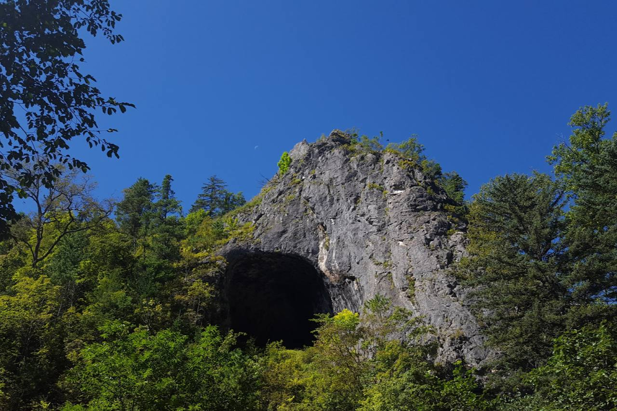 источник commons.m.wikimedia.org/Алексей744