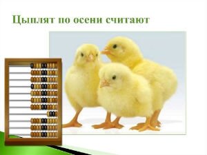 назывное предложение на тему зимний лес. определите вид предложения цыплят по осени считают. цыплят по осени считают неопределенно личные предложения. цеплятя ппо отсени считкют. обобщенно личные предложения.