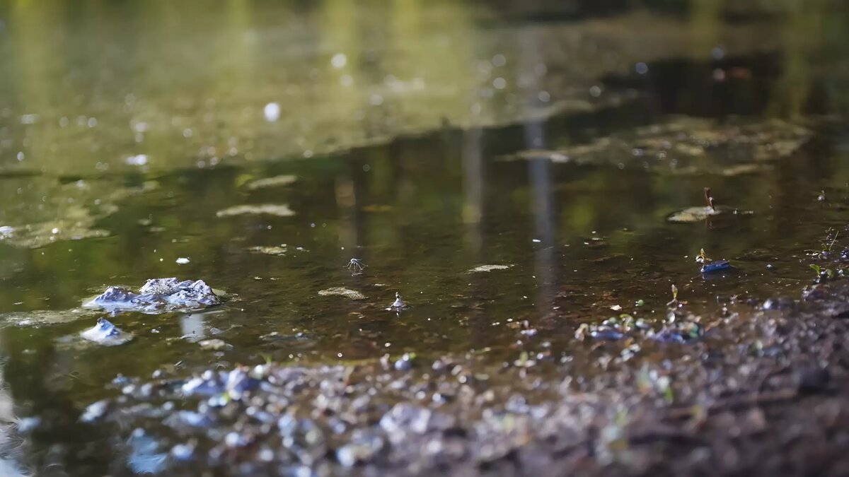     В Казани местные жители ужаснулись разливающимся фекалиям из-за машины-цистерны с насосом для откачки отходов. Соответствующий пост появился в Telegram-канале «КазанДа».