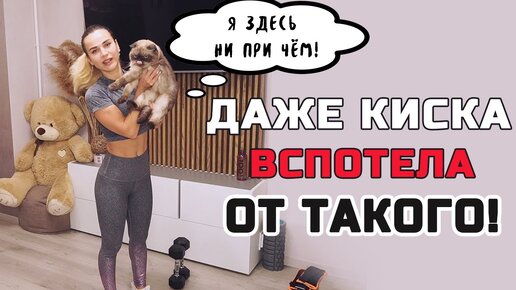 Тонкая талия и МОКРЫЕ ТРУСИКИ вам обеспечены😅ЖАРКАЯ тренировка НА ВСЕ ТЕЛО💦