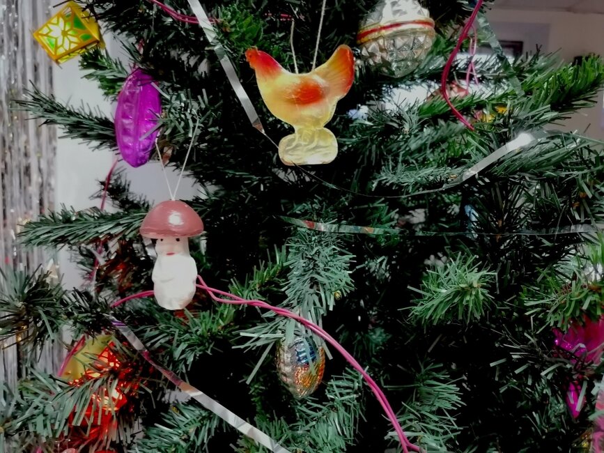 Фото из интернета