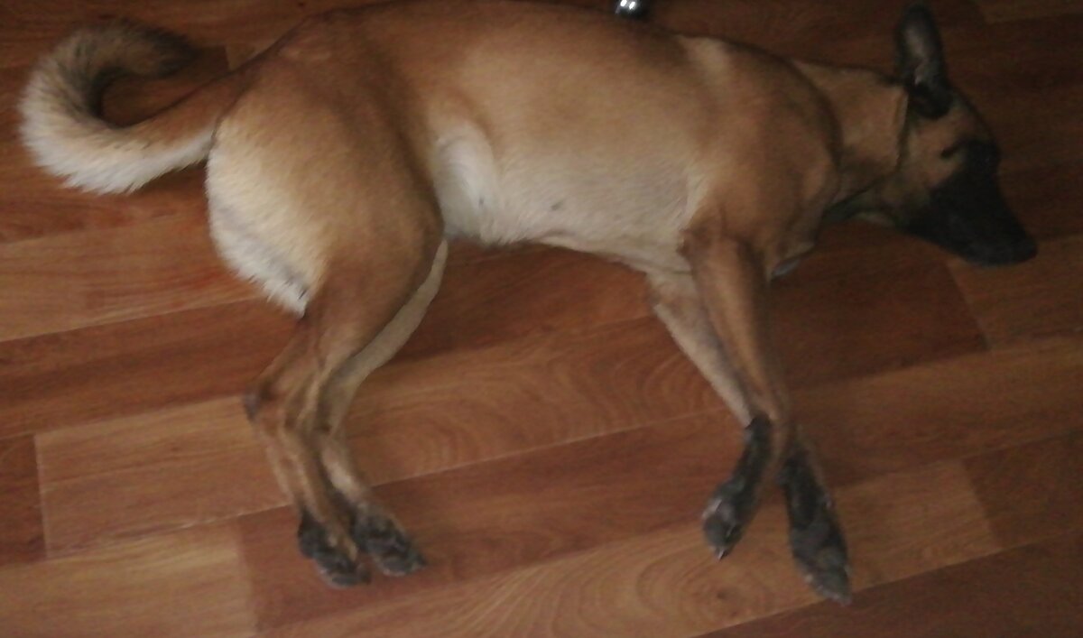 Вот такой у неё бубель🤣🤣🤣🤣