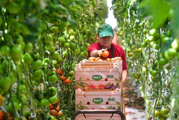 | Фото: Сергей Елесин, ИА "Тюменская линия"