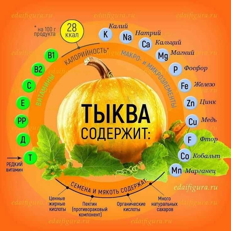 Сколько калорий в тыкве. Тыква состав витаминов и микроэлементов. Полезные витамины в тыкве. Тыква микроэлементы. Витамины содержащиеся в тыкве