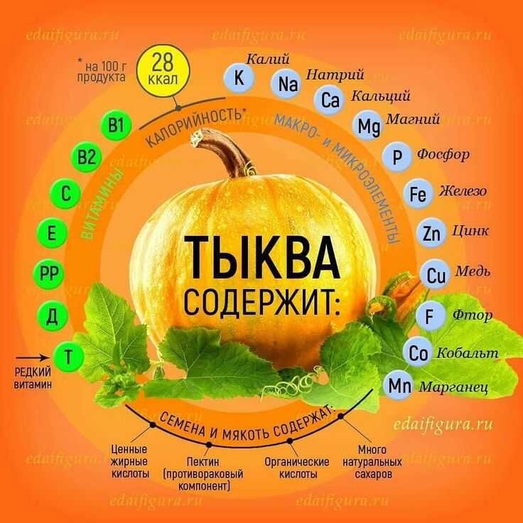 Тыква состав витаминов и микроэлементов. Полезные витамины в тыкве. Тыква микроэлементы. Витамины содержащиеся в тыкве.