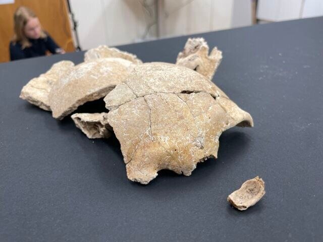 Голова скелета была раздроблена.