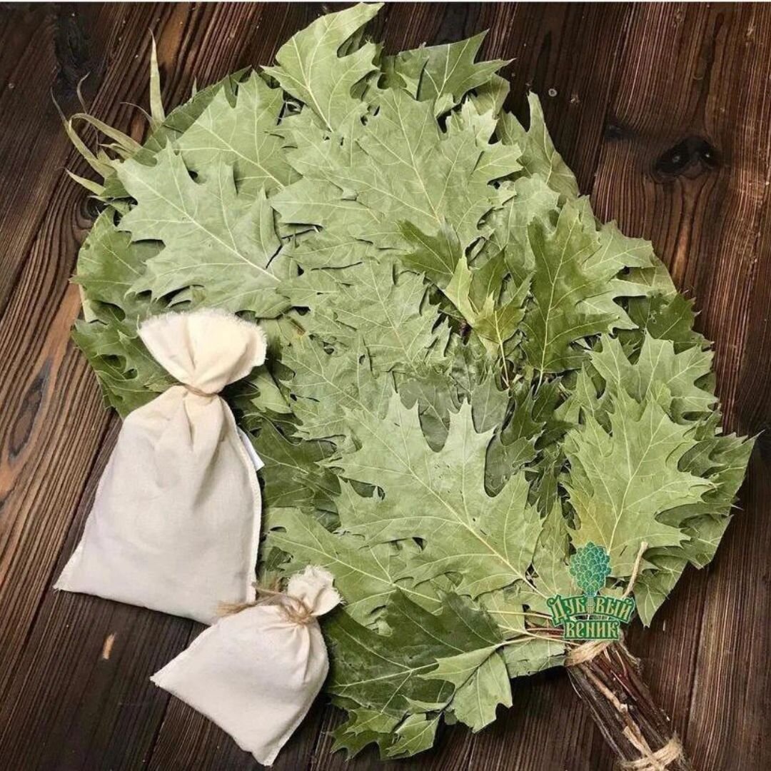 Веник из канадского дуба