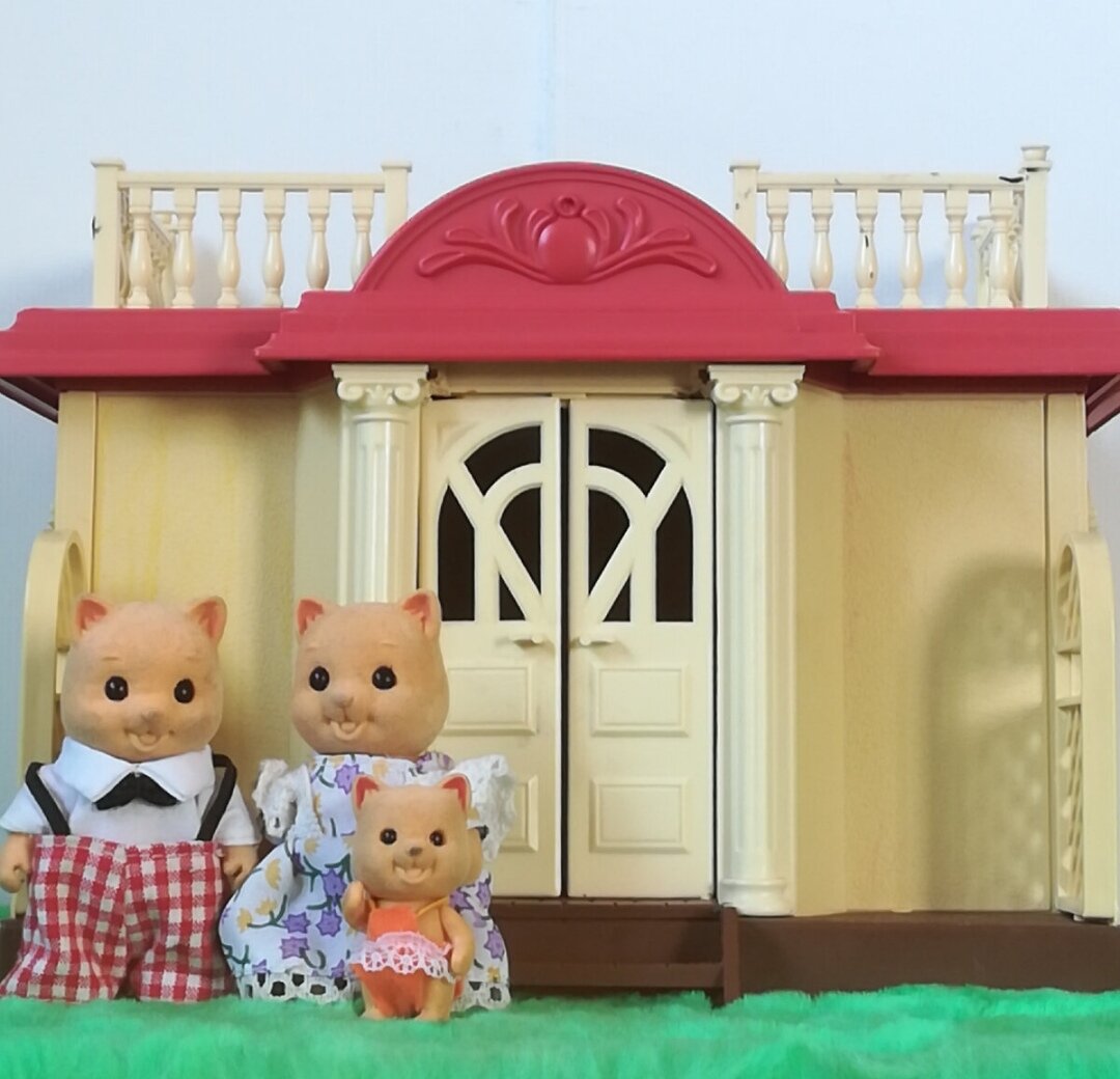 Так выглядят наши котики Happy Family после многолетней эксплутации