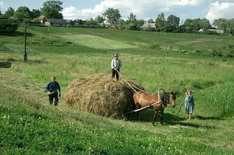   Игорь Самохвалов/ПГ