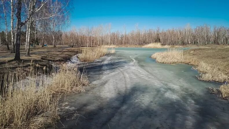     Тюменцы давно не видели такого, чтобы в ноябре в области царила плюсовая температура, а город не был завален снегом по колено. «Наш город» разобрался, в чем причины этого аномального явления и как оно скажется на жизни в Тюменской области.