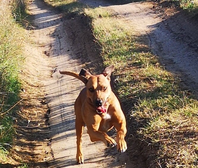 Моя красавица и, возможно, спасительница