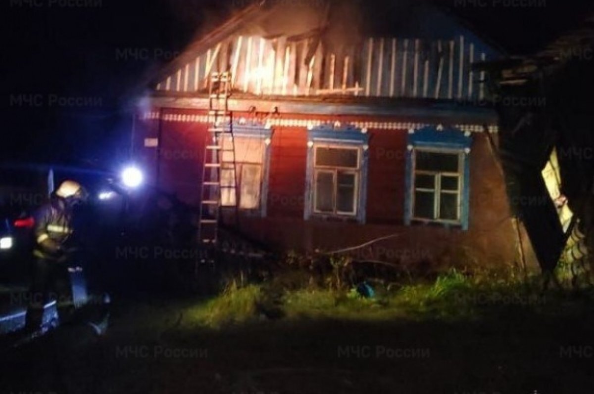    На пожаре в брянской деревне Яблонка пострадал человек
