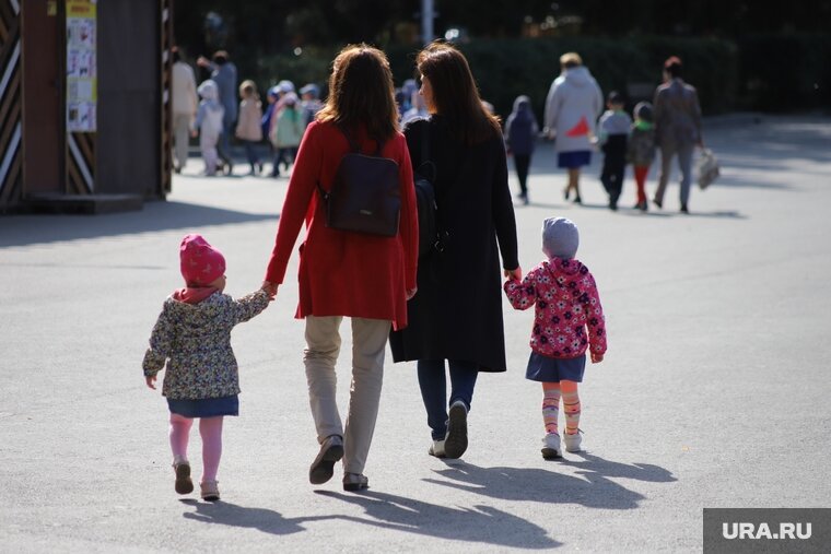    В России может появится индексация материнского капитала для каждого последующего ребенка, заявил Андрей Клепач