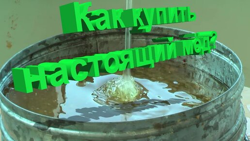 Профессор Кашковский: Как обычному покупателю не попасться на уловку и купить мёд?