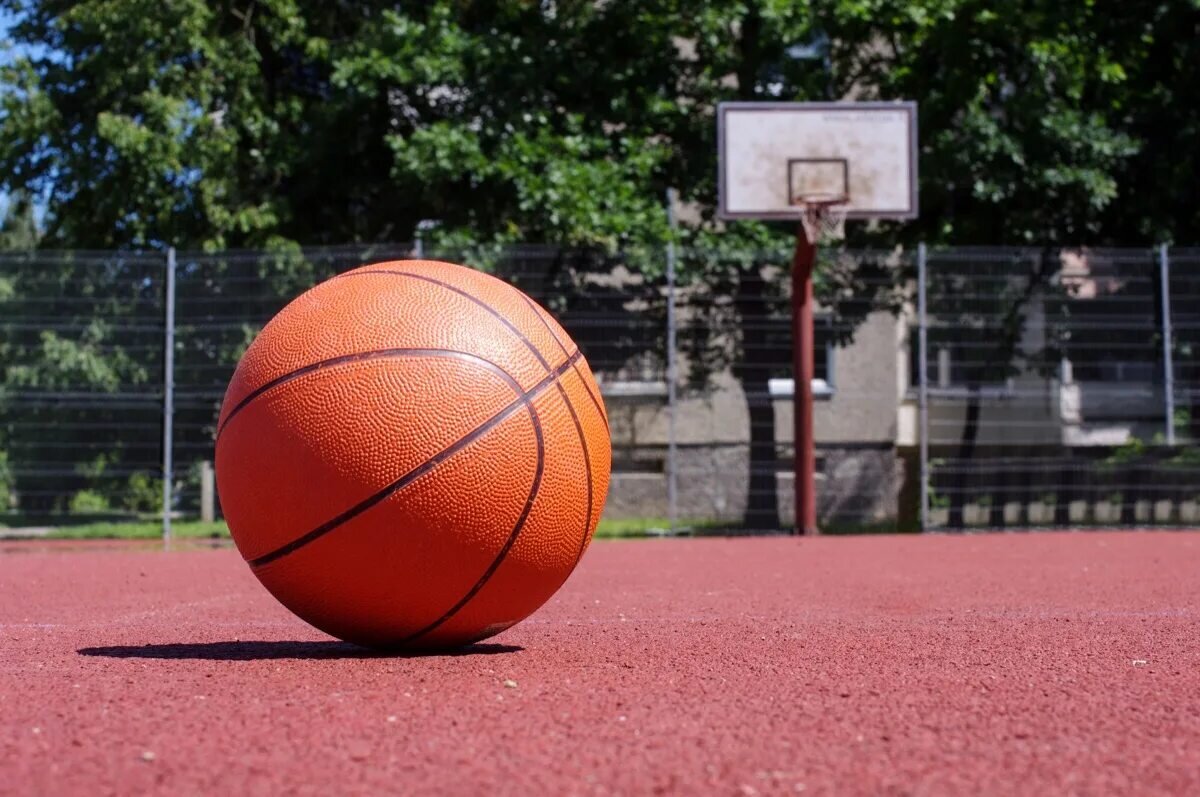 Виды мячей в баскетболе! 🏀 | ArtePin | Дзен