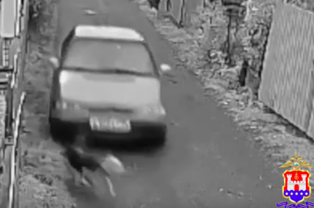    Водитель, наехавший на собаку в одном из СНТ, предстанет перед судом