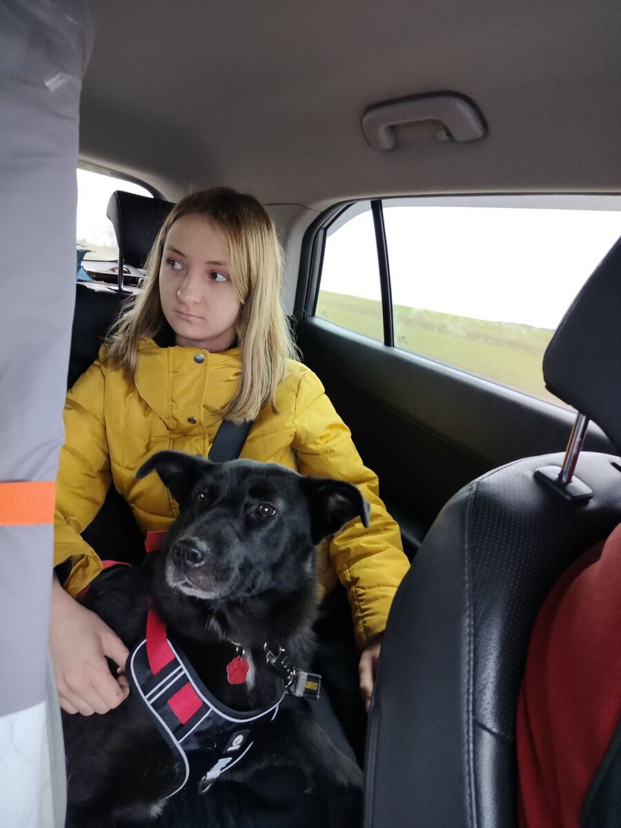 Прочь тревоги