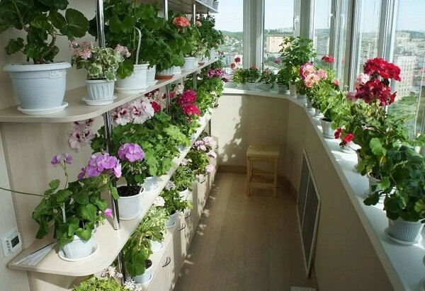 фото из открытого источника