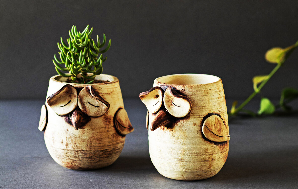источник фото https://unsplash.com/s/photos/succulents-in-jar