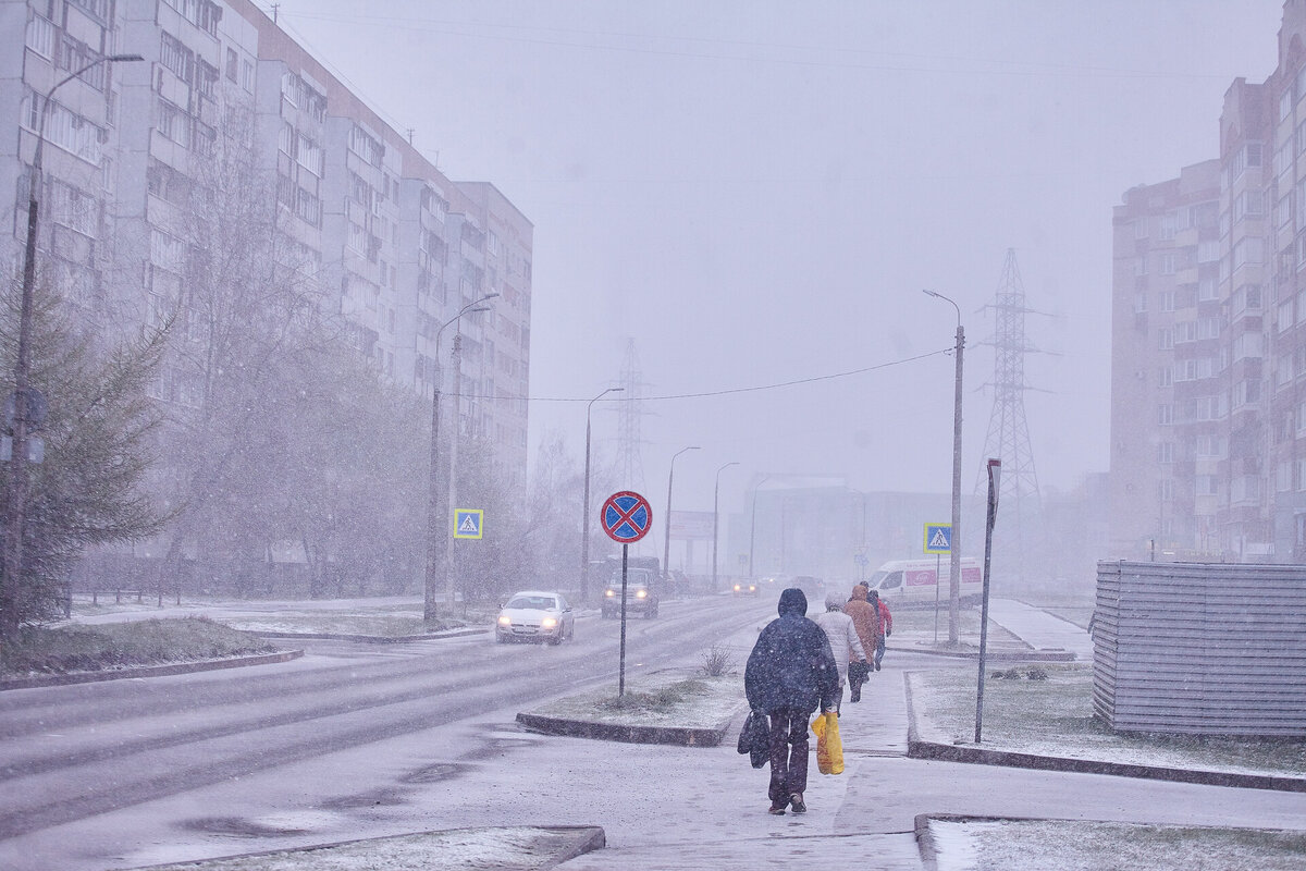 Фото: ПАИ
