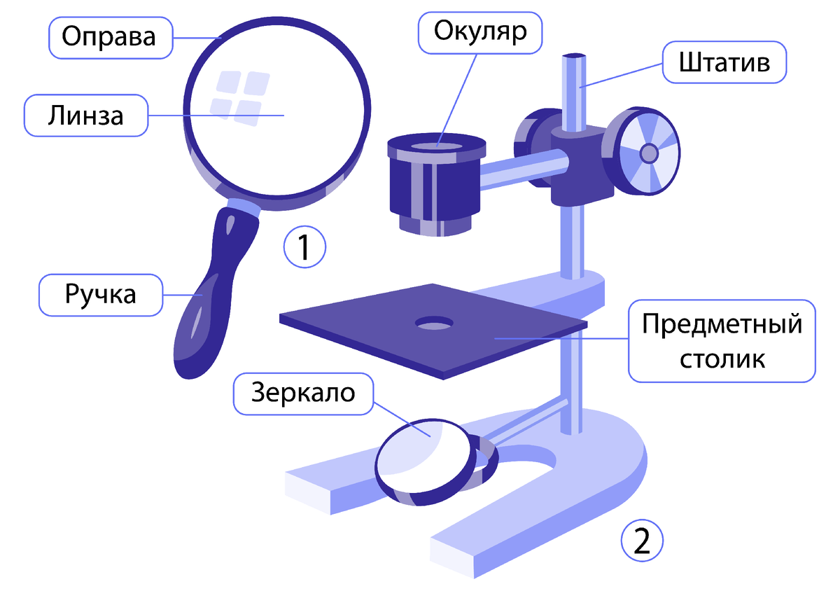 1. Ручная лупа; 2. Штативная лупа