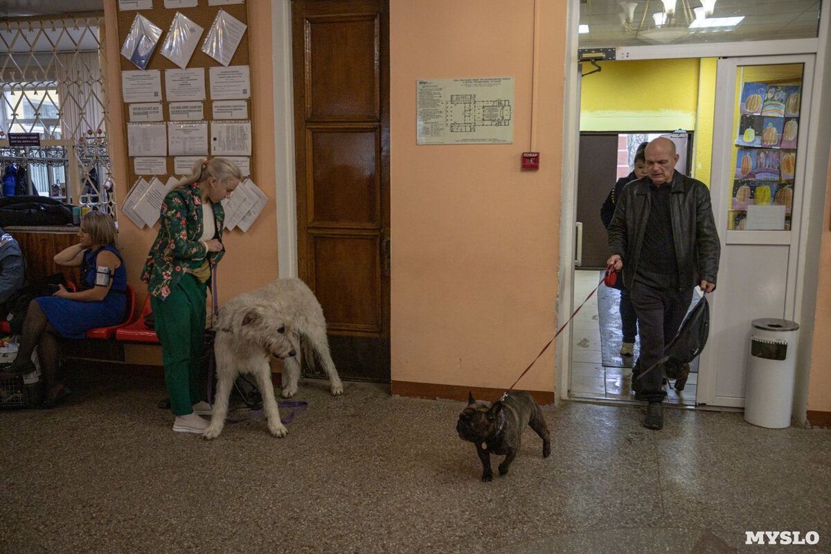 Листайте вправо, чтобы увидеть больше изображений