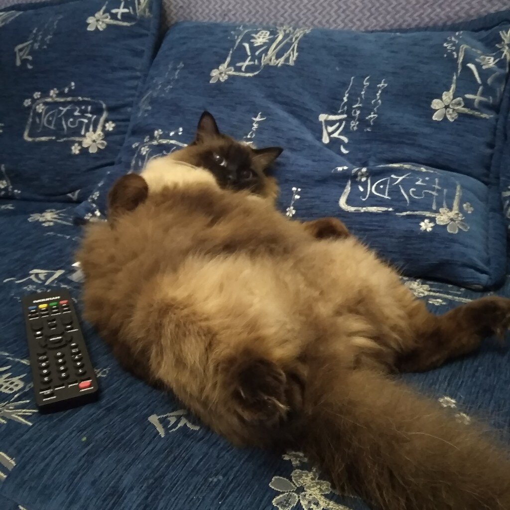 © Фото: ИД «Волгоградская правда» / архив.