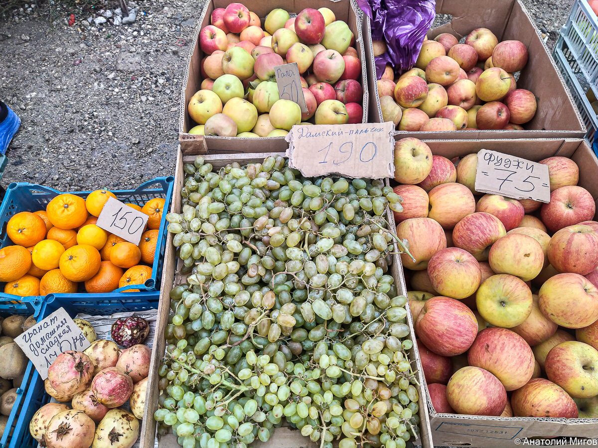 сорт яблок айва. айва плоды. хурма и мандарин астрахань. айва хурма яблоко гуарана. айва азербайджанская.