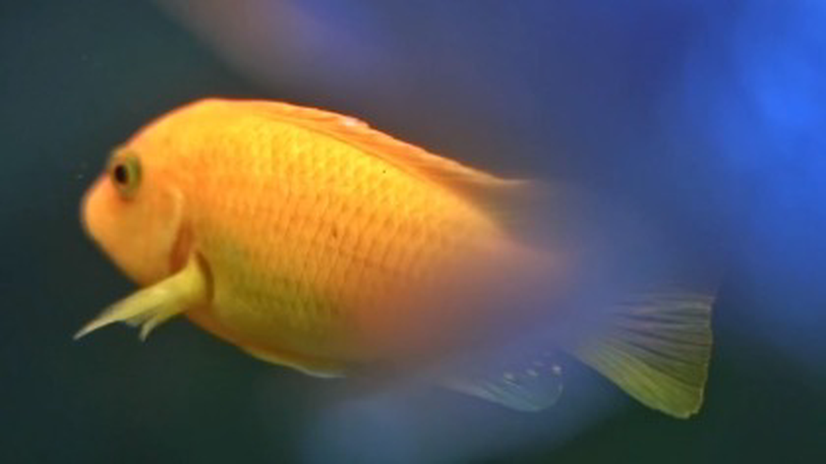    Фото: Telegram / Москвоский зоопарк