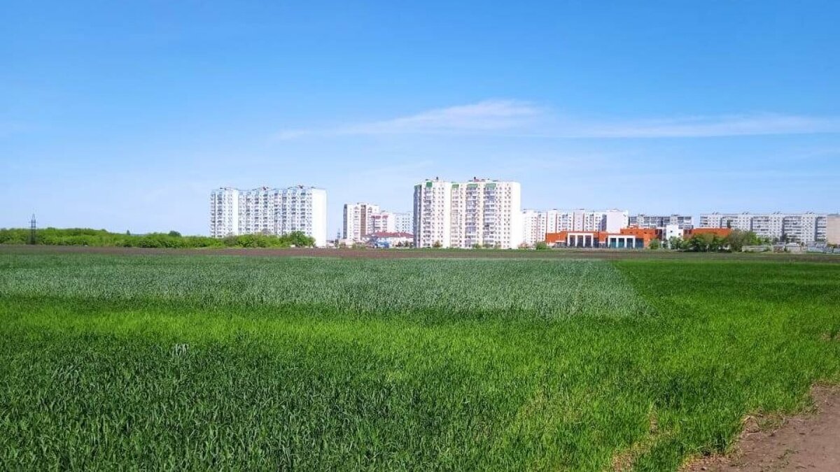    Названы сроки строительства парка на землях НИИ Юго-Востока в СаратовеНовости Саратова и области – Сетевое издание «Репортер64»