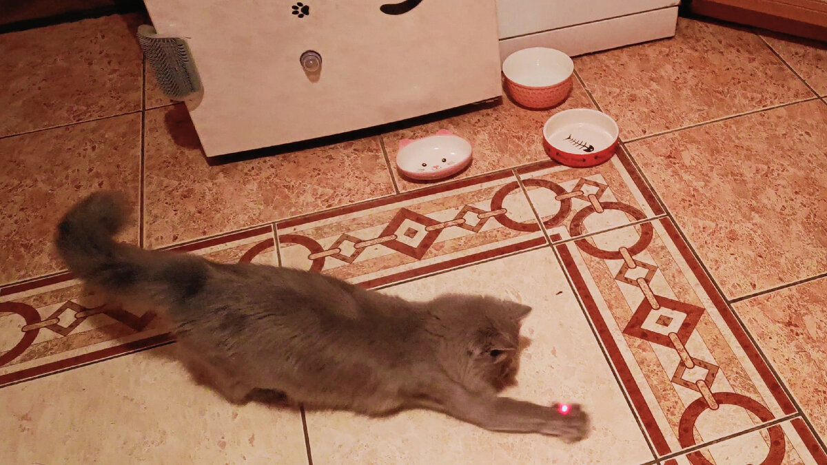 Поймать красную точку