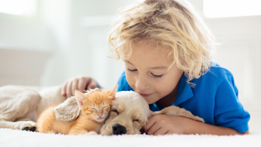 ФОТО : Shutterstock/FOTODOM