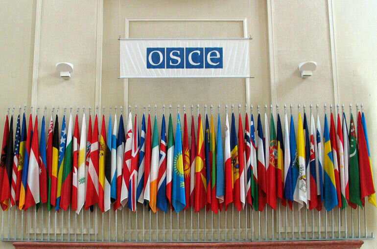   OSCE/Mikhail Evstafiev