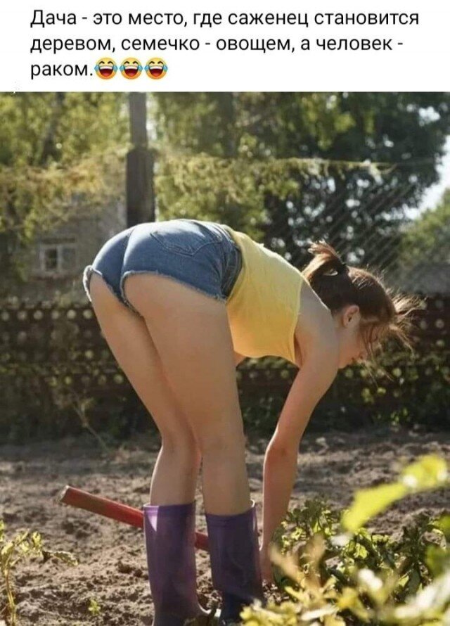 На кротов охотится)