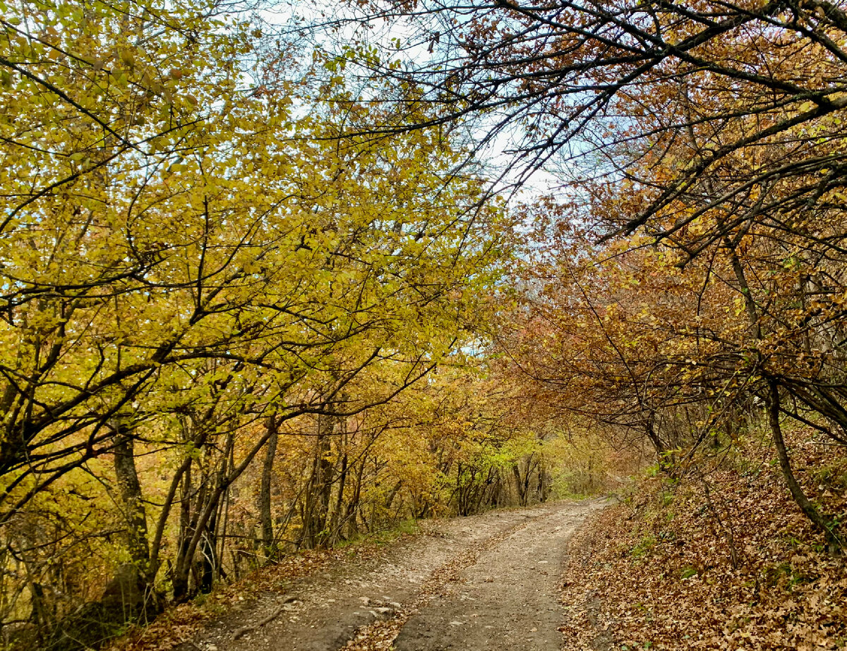 Осенняя дорога в Крыму