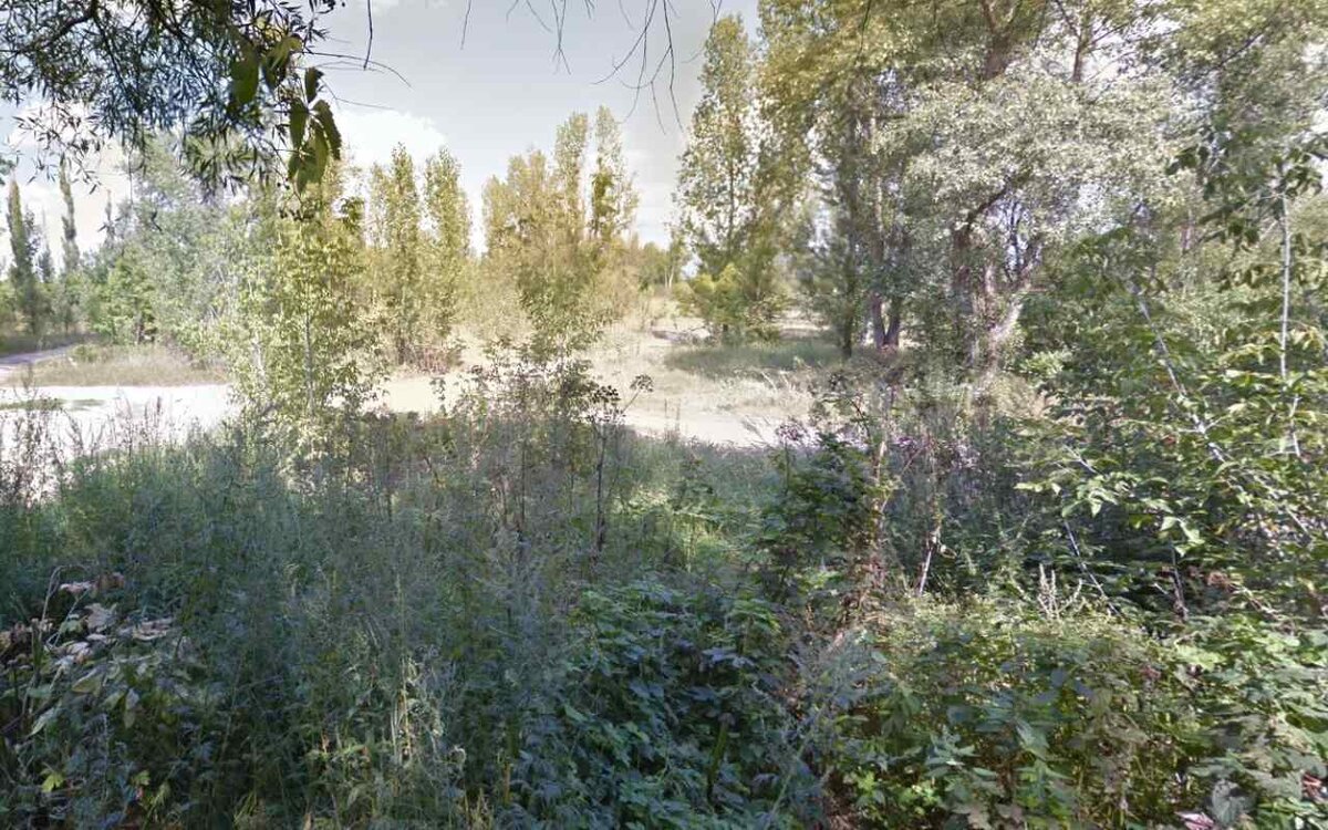    Антон Евсеев переводит участок на берегу воронежского водохранилища у The Vodа под малоэтажную застройку Фото с Google Maps