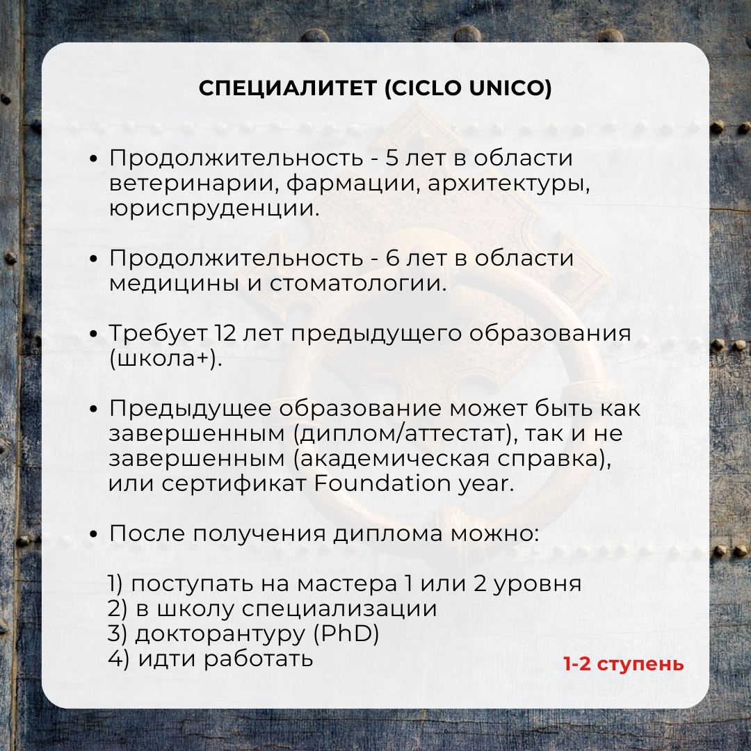 Уровни высшего образования в Италии | Образование в Италии | Дзен