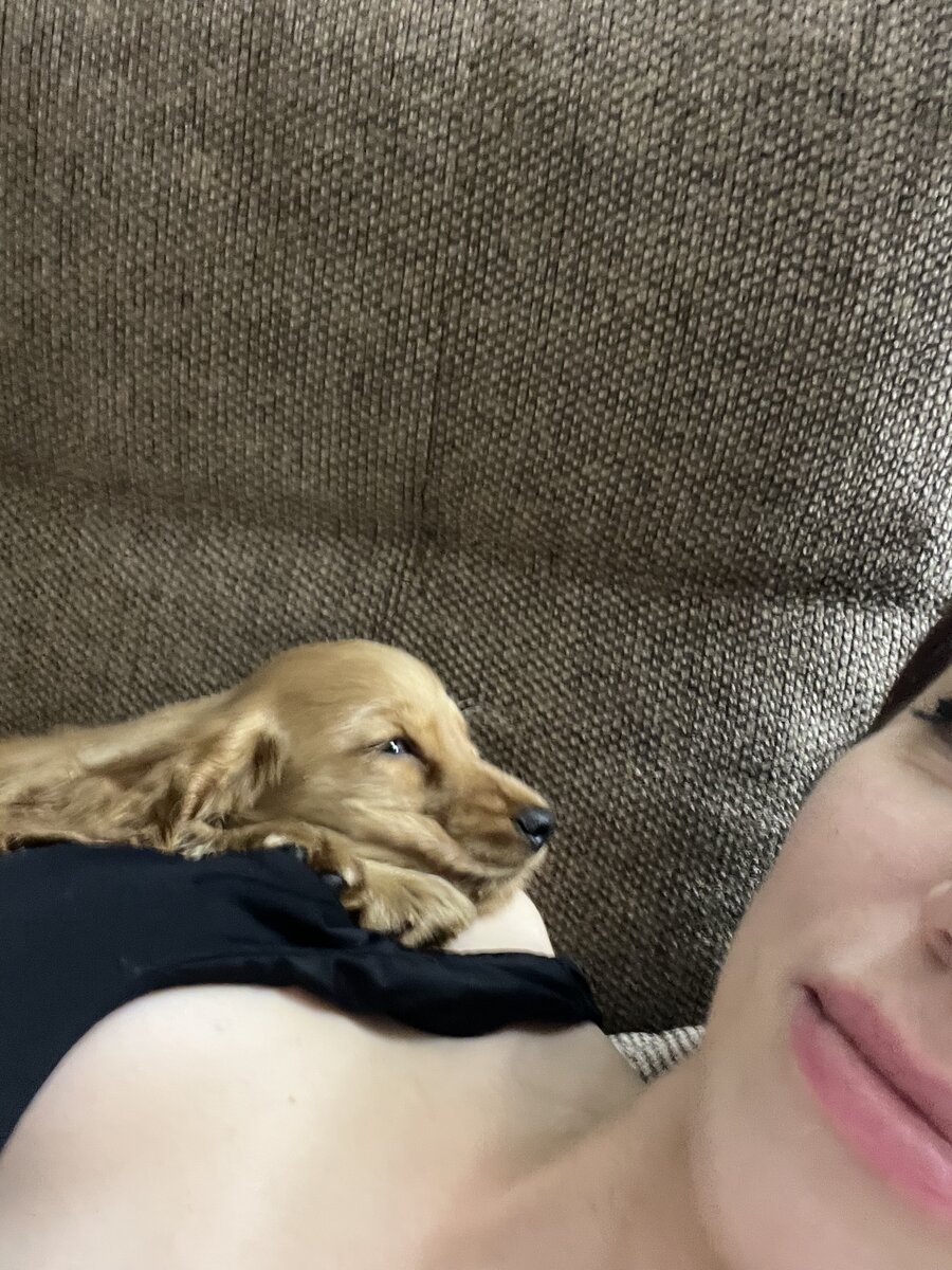 Если с дивана уходила начиналась суета, скулеж и тд. 