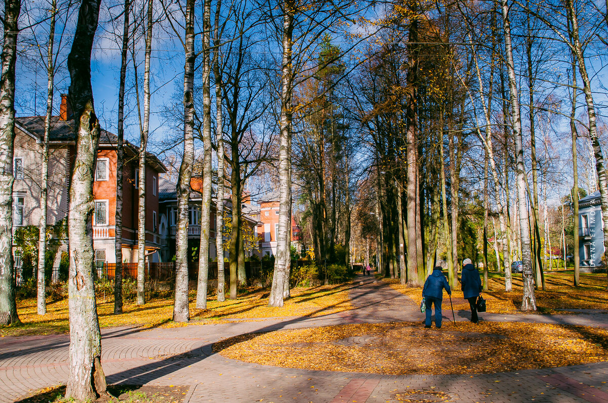 за неимением под рукой фотографий Павловского вокзала, решила разбавить повествование просто фотографиями Павловска