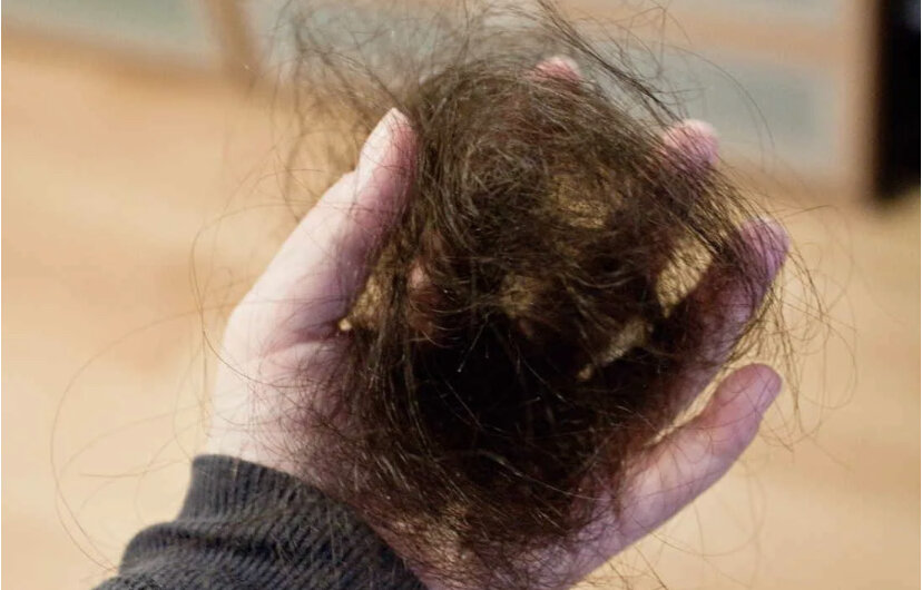 Удручающая картина