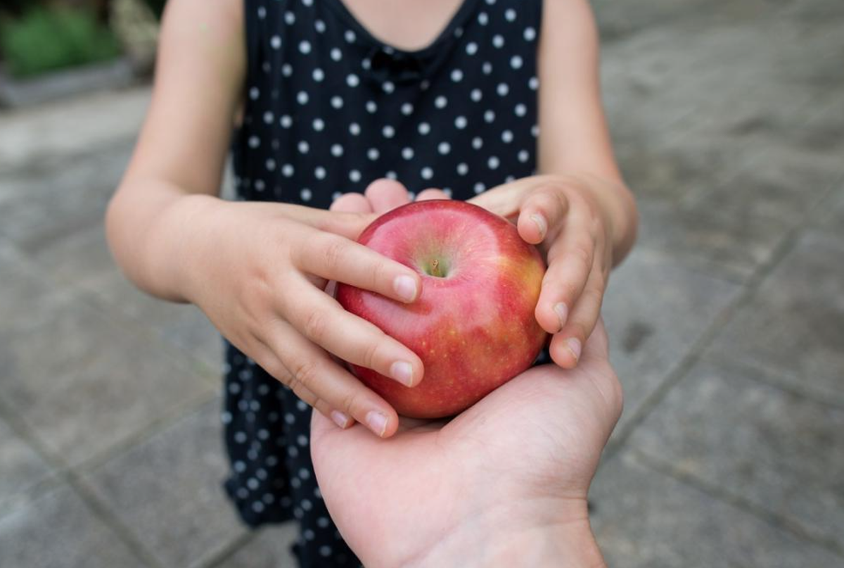 яблоки в геншин импакт карта. яблони в геншин импакт. хранение яблок. местоположение яблок в геншин импакт. где взять яблоки.