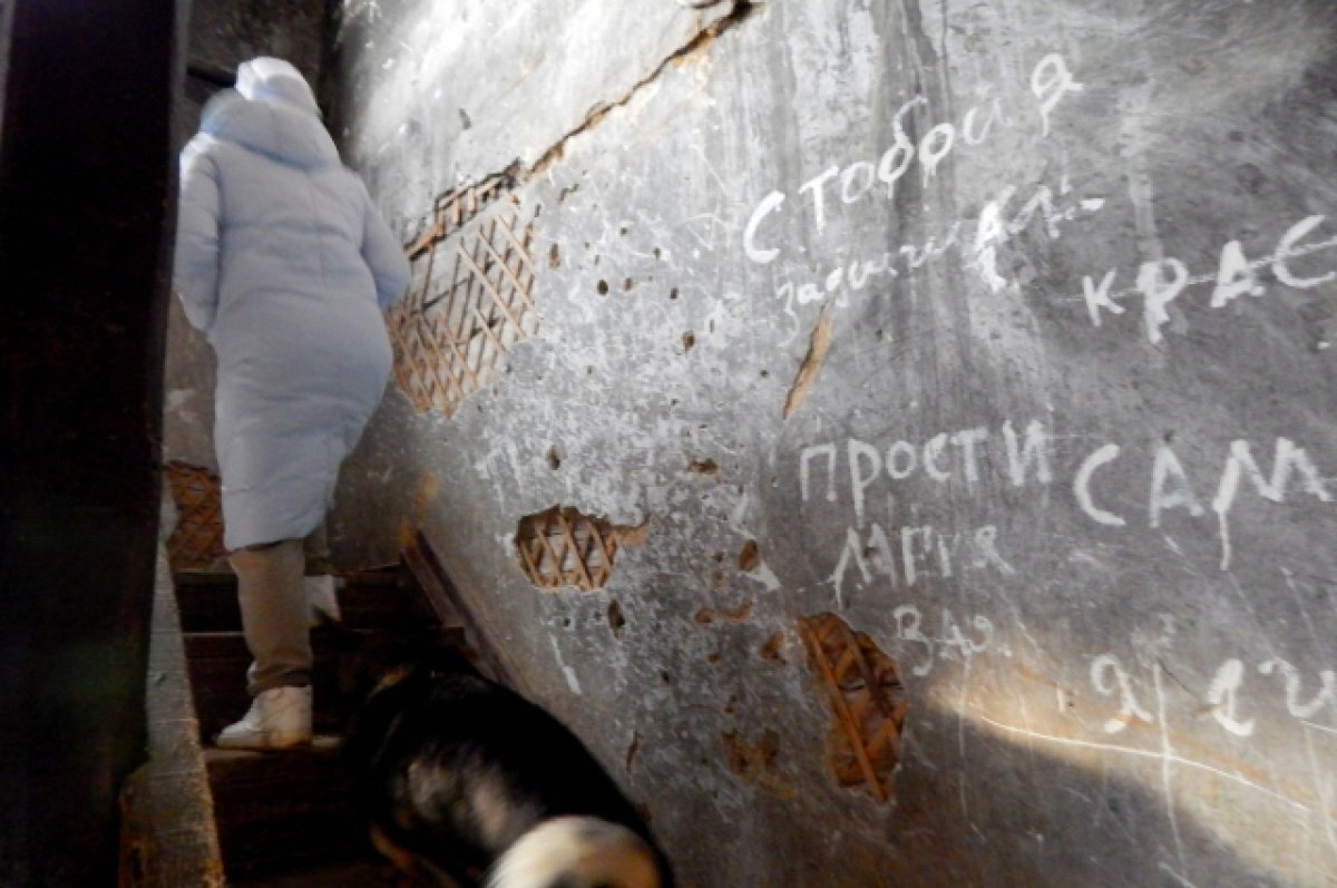 Жить опасно! Прокуратура взялась за аварийные дома в уральском посёлке |  АиФ – Урал | Дзен