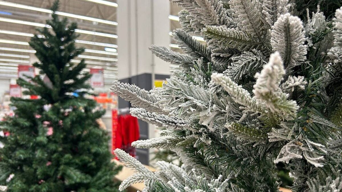    Краснодар в ноябре начнут украшать к Новому году. Фото: телеканал «Краснодар»