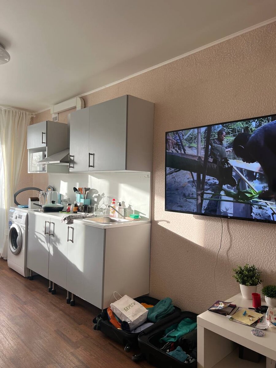 Зал, совмещенный с кухней, телевизор